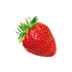 Fresas Frescas Nacionales