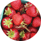 Fresas