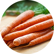 Zanahoría