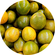 Limones
