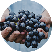 Frutos negros